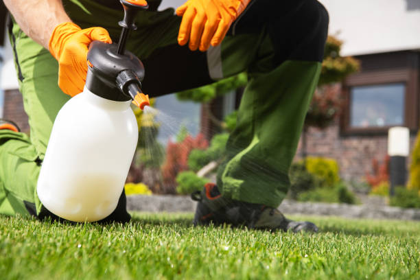 Best Affordable Pest Control Services  in Ledbetter, KY
