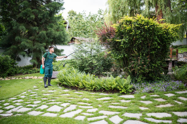 Best Pest Control for Businesses  in Ledbetter, KY