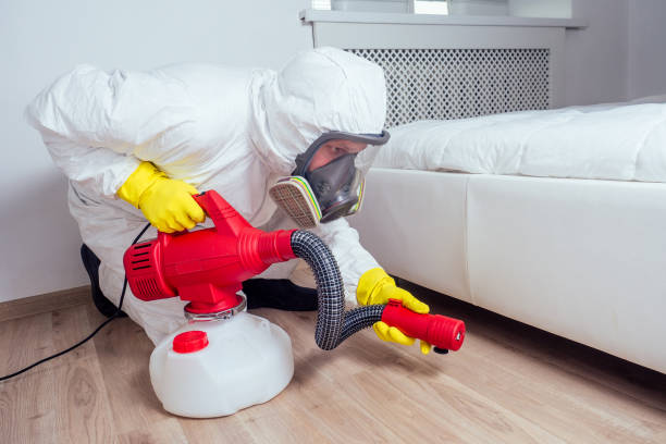 Reliable Ledbetter, KY Pest Control Solutions