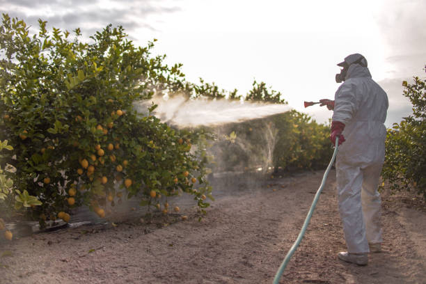 Best Commercial Pest Control Services  in Ledbetter, KY