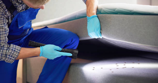 Best Termite Control Services  in Ledbetter, KY